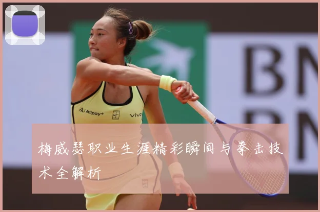 梅威瑟职业生涯精彩瞬间与拳击技术全解析