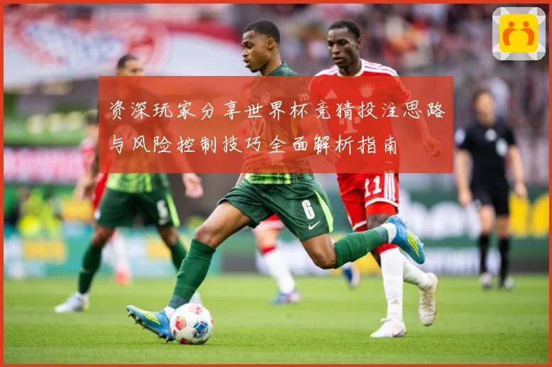 资深玩家分享世界杯竞猜投注思路与风险控制技巧全面解析指南