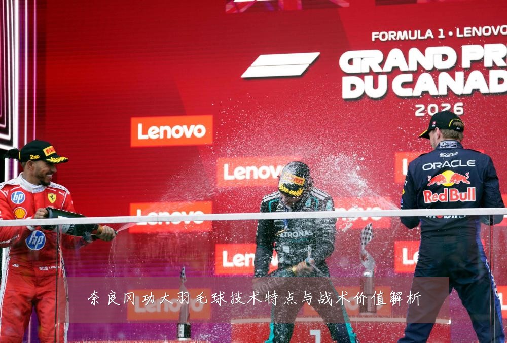奈良冈功大羽毛球技术特点与战术价值解析